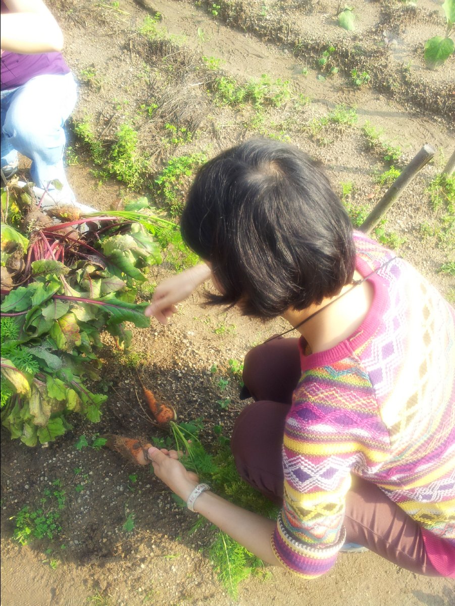 20120422Organic Farm24